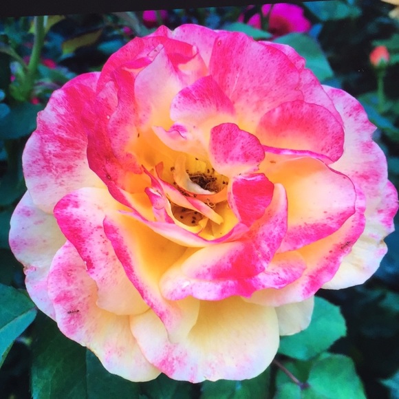 NEW COMMUNICATION PAGE.... Say Hello, etc. 😄 - Picture 3 of 5